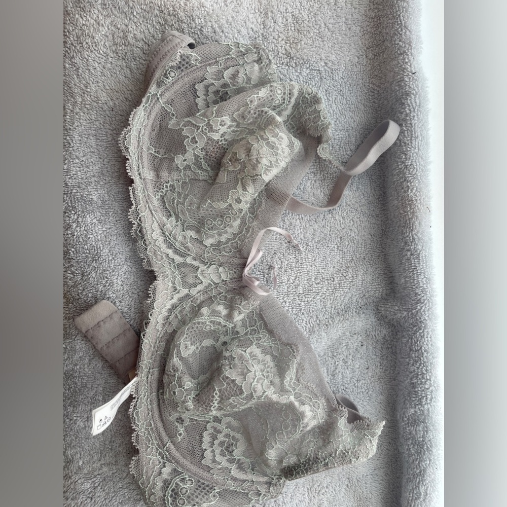 SKarlett Blue Minx Gray bra in 30DD